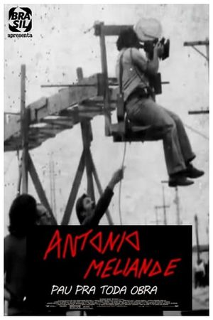 Antonio Meliande - Pau pra toda obra's poster