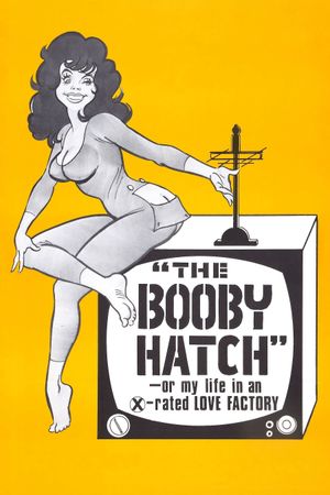 The Liberation of Cherry Janowski's poster