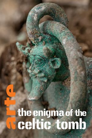 The Enigma of the Celtic Tomb's poster