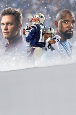 The Tuck Rule's poster