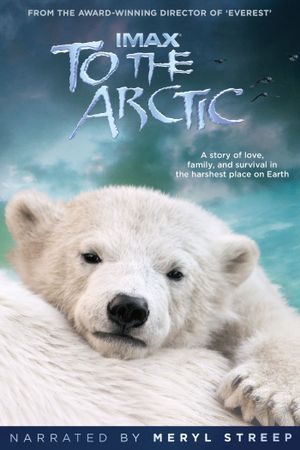 To the Arctic 3D's poster