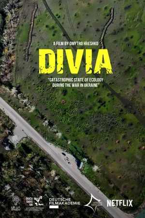 Divia's poster