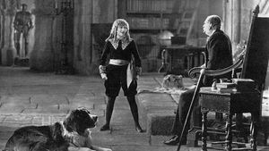 Little Lord Fauntleroy's poster