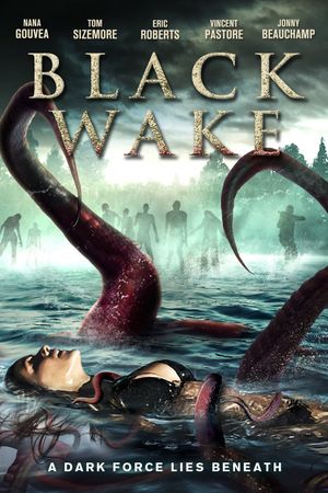 Black Wake's poster