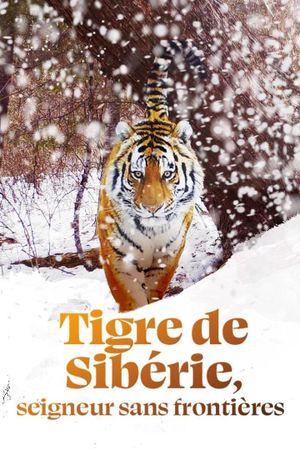 Siberian Tiger, The Secret Kingdom's poster