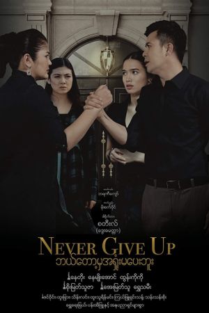 Never Give Up's poster image