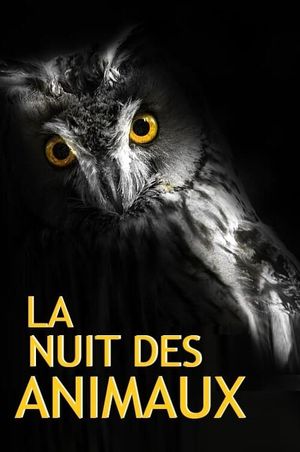 La Nuit des Animaux's poster