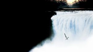 The Mission's poster