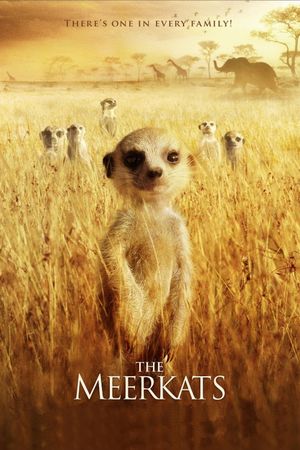 The Meerkats's poster
