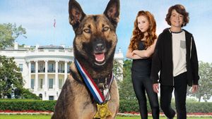 Max 2: White House Hero's poster