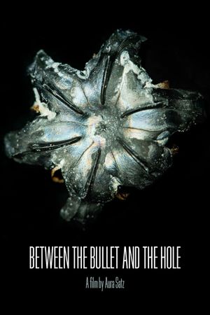 Between the Bullet and the Hole's poster