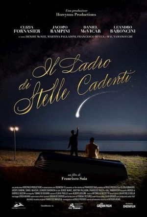 Il ladro di stelle cadenti's poster