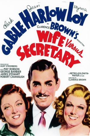 Wife vs. Secretary's poster