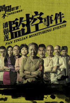 潘银莲监控事件's poster