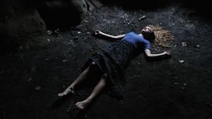 Sarah Plays a Werewolf's poster