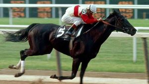 Ruffian's poster
