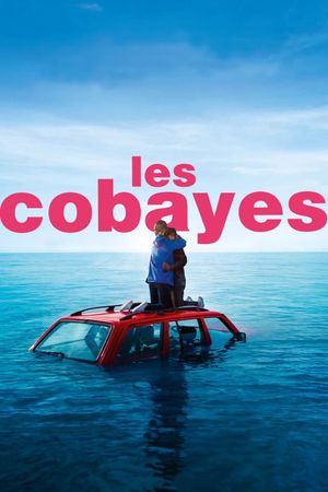 Les cobayes's poster