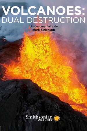 Volcanoes: dual destruction's poster image