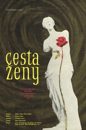 Cesta zeny's poster