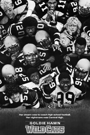 Wildcats's poster