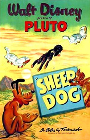 Sheep Dog's poster