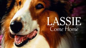 Lassie Come Home's poster