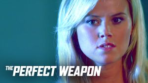 The Perfect Weapon's poster