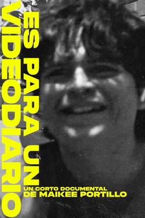Es Para Un Videodiario's poster