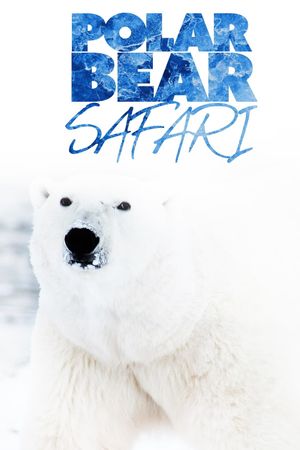 Polar Bear Safari's poster