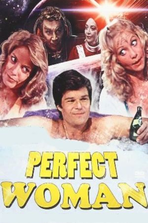 The Perfect Woman's poster