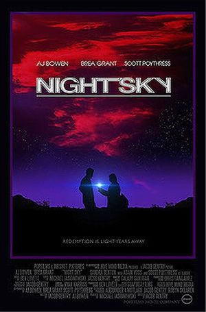 Night Sky's poster image