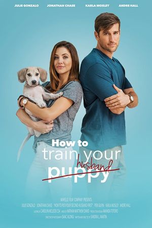 How to Train Your Husband or (How to Pick Your Second Husband First)'s poster