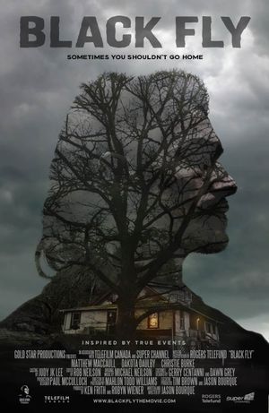 Black Fly's poster