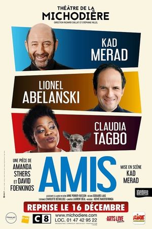 Amis's poster