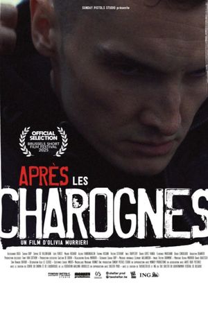 Après les charognes's poster