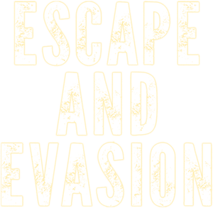 Escape and Evasion's poster