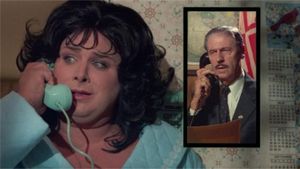 Polyester's poster