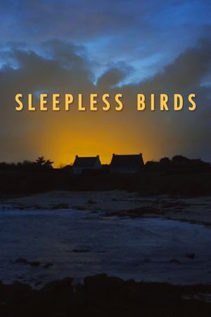 Sleepless Birds's poster