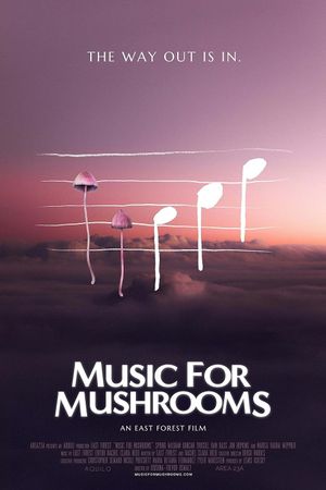 Music for Mushrooms's poster