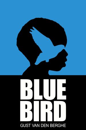 Blue Bird's poster