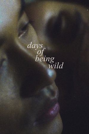Days of Being Wild's poster