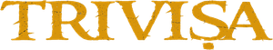Trivisa's poster