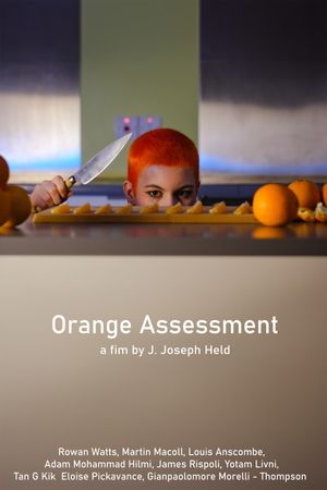 Orange  Assessment's poster