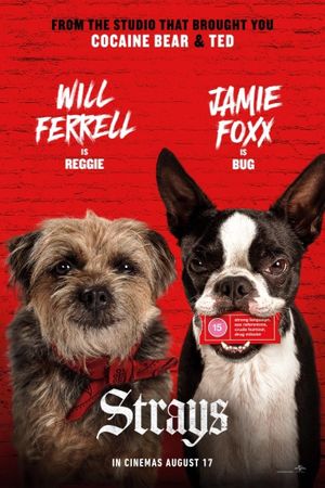 Strays's poster