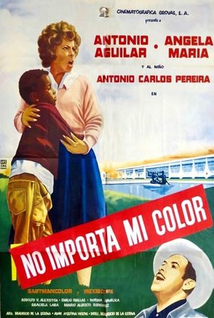 Rumbo a Brasilia's poster
