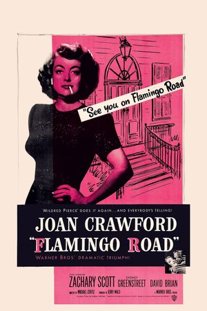 Flamingo Road's poster