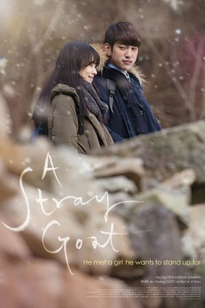 A Stray Goat's poster image