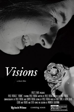 Visions's poster