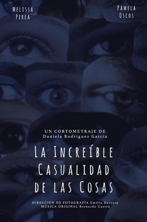 La Increíble Casualidad de las Cosas's poster image