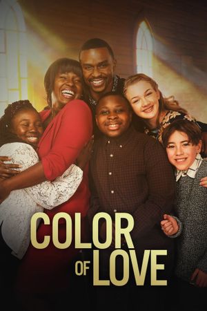Color of Love's poster